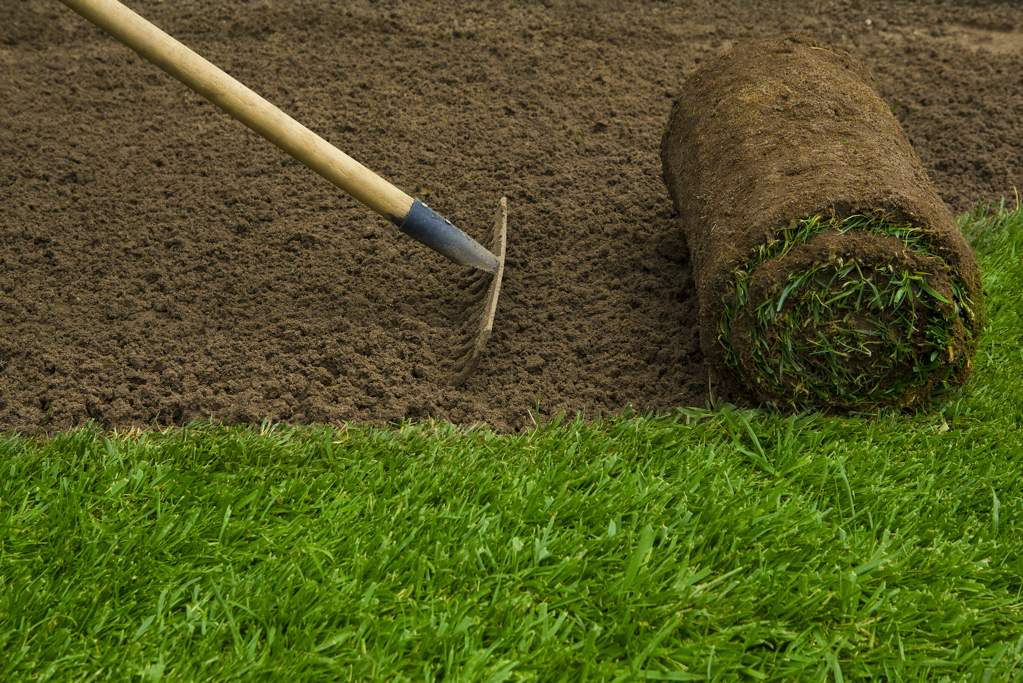 Instant Lawn Turfing